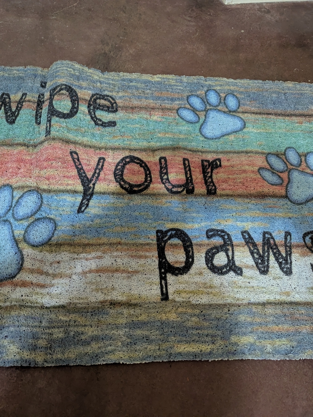 Doormat - Multicolor "Wipe Your Paws" Pet Doormat